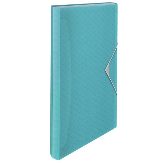 Esselte Colour'Breeze PP accordion folder. With 6 dividers, blue