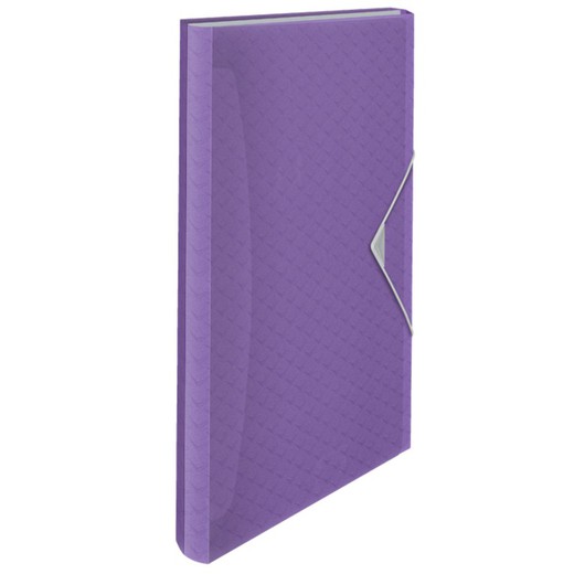 Esselte Colour'Breeze PP accordion folder. With 6 dividers, lavender