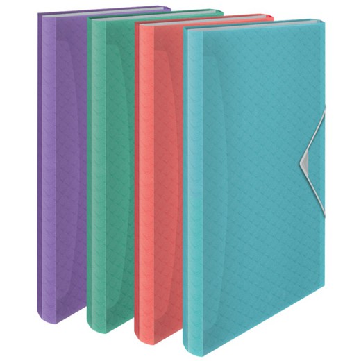 Esselte Colour'Breeze PP accordion folder. With 6 dividers, assorted