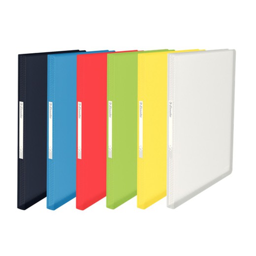 Esselte Vivida sleeve folder. P.P. Flexible Lids. 80 covers. DIN A4, assorted