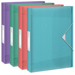 Esselte Colour'Breeze PP project folder. Spine 25mm. DIN A4, assorted