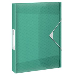 Esselte Colour'Breeze PP project folder. Spine 25mm. DIN A4, green