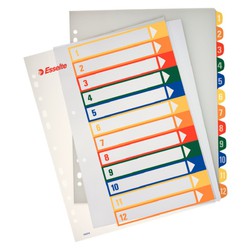 Index van projecten Afdrukbare Esselte. DINA4. PP-tabs 1-12, veelkleurig