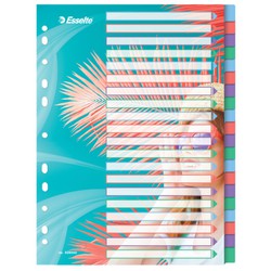 Index multi-forets Esselte Colour'Breeze. P. P. A4. 20 onglets, multicolore