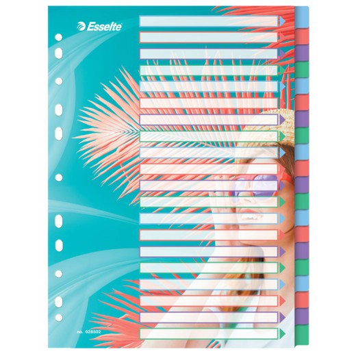 Esselte Colour'Breeze multi-drill indeks. P.P. A4. 20 faner, flerfarvet