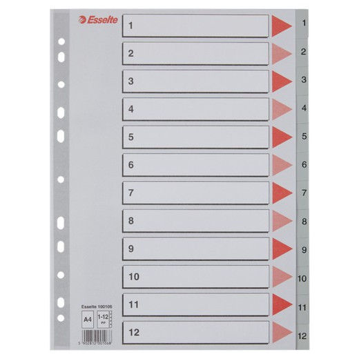 Índice multidrill Esselte. DIN A4. Cartão de índice de cores. Abas 1-12 PP, cinza