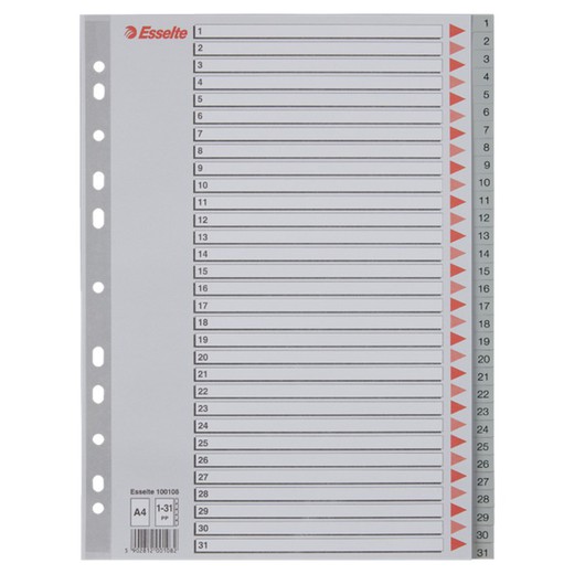 Esselte multidrill index. DIN A4. Color index card. Tabs 1-31 PP, gray