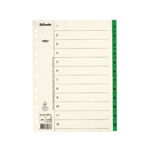 Índice multitaladro Esselte. DIN A4. Cartulina índice. Pestañas 1-12 Papel Mylar, beige