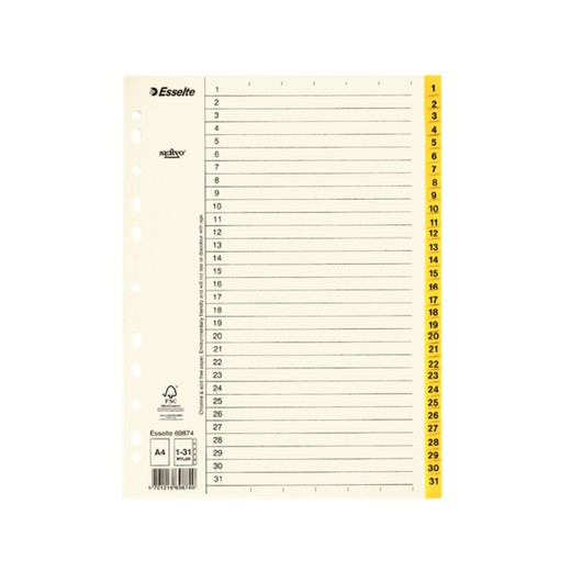 Esselte multidrill-index. DINA4. Indexkaart. Tabbladen 1-31 Mylar papier, beige