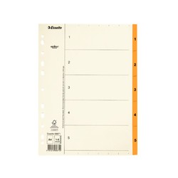 Esselte multidrill index. DIN A4. Index card. Tabs 1-5 Mylar paper, beige —  KounterPRO