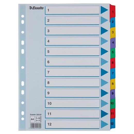 Index multiforets Esselte. DIN A4. Avec fiche de couleur et onglets renforcés 1-12 Carton Mylar, multicolore