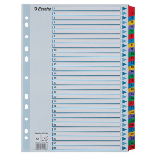 Esselte multidrill index. DIN A4. Med färgat registerkort och förstärkta flikar 1-31 Mylar kartong, flerfärgad