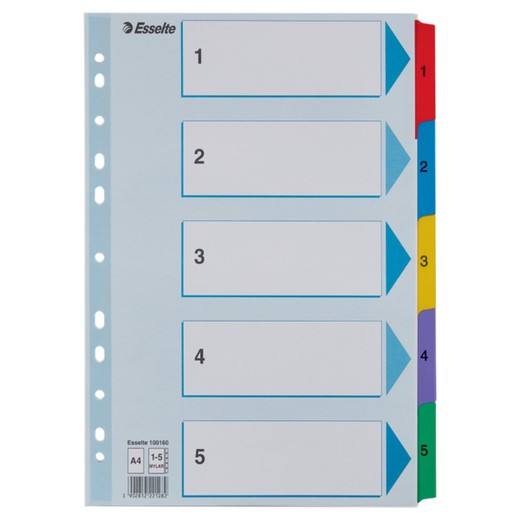 Esselte multidrill-index. DINA4. Met gekleurde indexkaart en versterkte tabbladen 1-5 Mylar-karton, veelkleurig