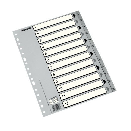 Esselte Multidrill-Index. Rechnung. Karteikarte s/w. Reiter 1-12 PP, grau