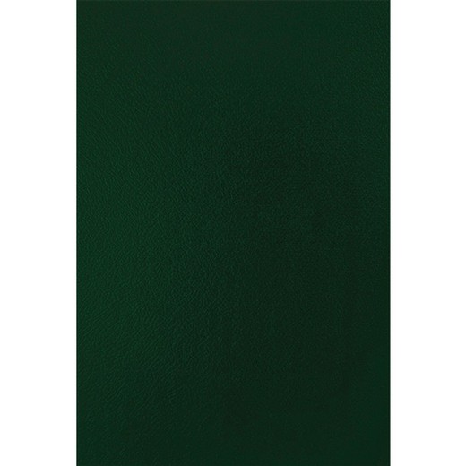 Pack de 50 capas de cartão verde A4 750 gr.