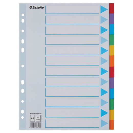 Multi-hole spacers. DIN A4. Color index card. 200g cardboard tabs. 1-12, multicolored