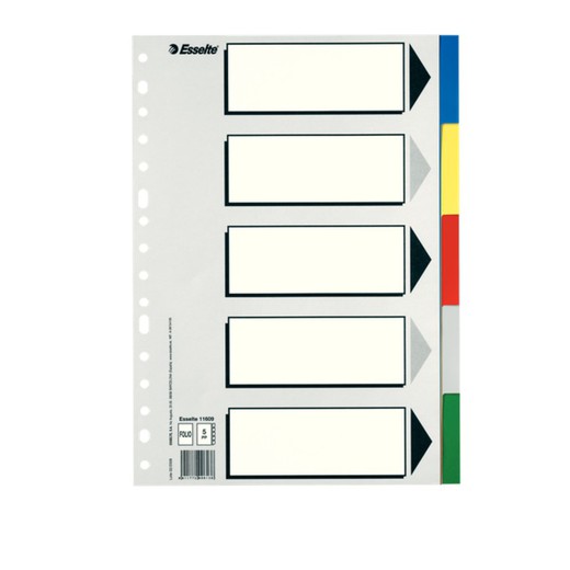 Multidrill Spacers Mod.613. Invoice. With b/w index card. 5 PP tabs, multicolored