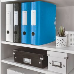 Leitz Active WOW Aktenschrank. Polyschaum. 180º. DIN A4, Rücken 82 mm. blau