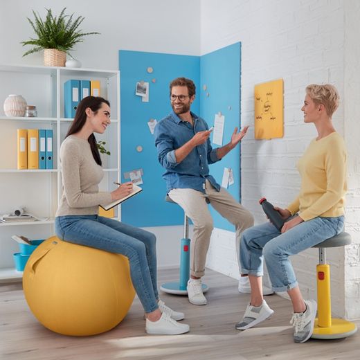 Ergo Cosy 65 cm di diametro Sfera con sedile attivo, grigio