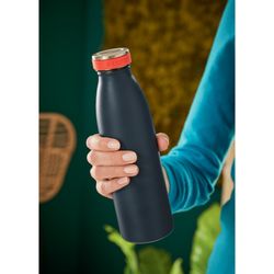 Leitz Cozy bottle 500 ml, gray