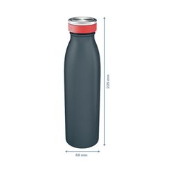 Leitz Cozy bottle 500 ml, gray