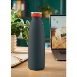 Leitz Cozy bottle 500 ml, gray
