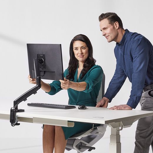Eppa™ Single Monitor Arm Sølv