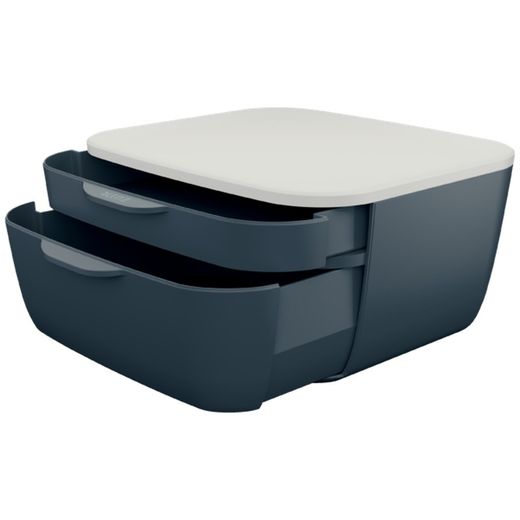 Leitz Cozy 2-Drawer Cabinet, Gray