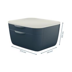 Leitz Cozy 2-Drawer Cabinet, Gray