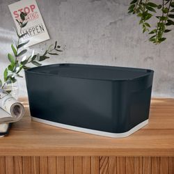 Caja Leitz MyBox Cosy pequeña con tapa, gris