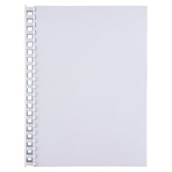 Peigne plastique DIN A4 GBC 22 mm (Box 100), blanc