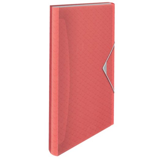 Esselte Colour'Breeze PP accordion folder. With 6 dividers, coral