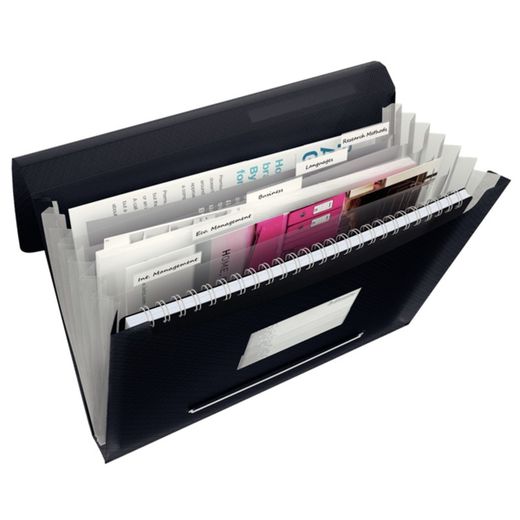 Esselte Vivida accordion folder. P.P. With 6 dividers, Vivid black