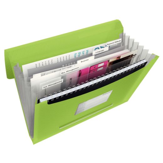 Esselte Vivida accordeonmap. pp Met 6 verdelers, levendig groen