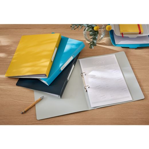 Raccoglitore ad anelli Leitz Cosy, 2 x 25 mm RR, DIN A4, giallo