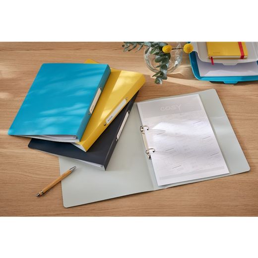 Raccoglitore ad anelli Leitz Cosy, 2 x 25 mm RR, DIN A4, blu