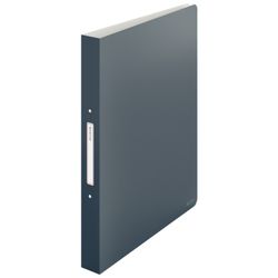 Leitz Cosy Ringbuch, 2 x 25 mm RR, DIN A4, grau