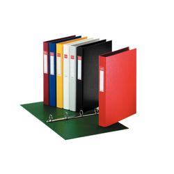 Plastikowy segregator w linie. Z plastikowym wnętrzem i uchwytem na karty. 4 pierścienie Ø 25 mm. DIN A4 czarny