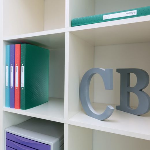 Esselte Colour'Breeze PP ringband. 4 ronde ringen van 25 mm. DIN A4, blauw