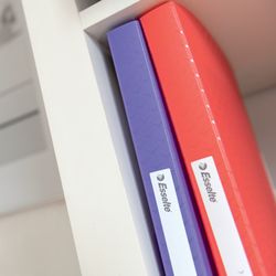 Esselte Colour'Breeze PP ärmmapp. Flexibla kepsar. 60 omslag DIN A4, korall