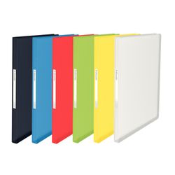 Pochette Esselte Vivida. P. P. Couvercles souples. 100 couverts. DIN A4, assorti