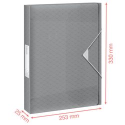 Esselte Colour'Breeze PP project folder. Spine 25mm. DIN A4, blue