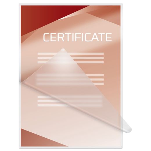 Portefeuilles GBC DIN A4 (216X303) 2X37.5 mic. (Case 200)