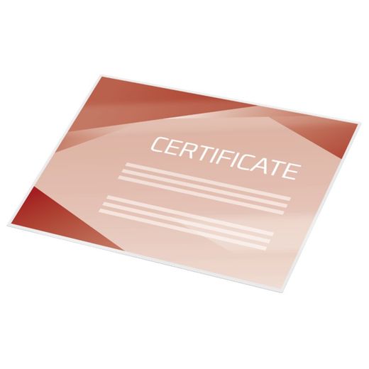 Portfolios GBC DIN A4 (216X303) ad alta velocità 2X125 mic. (Riquadro 100)