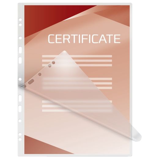 GBC FILEX DIN A4 (216X303) 2X125 micro. (Case 100)