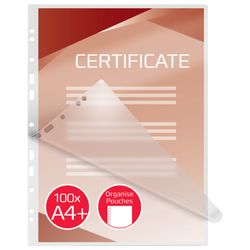 GBC FILEX DIN A4 (216X303) 2X125 micro. (Case 100)