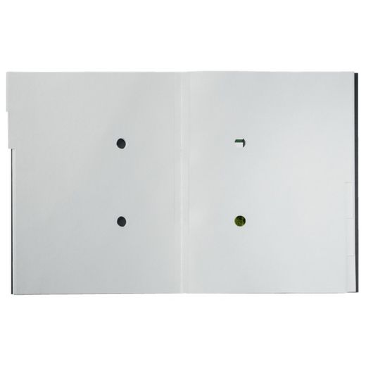 Leitz Recycle 6-tab kartonnen sorteerder. 100% recyclebaar. DIN A4, zwart