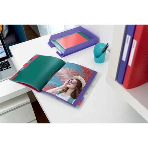 Esselte Colour'Breeze PP sorter. With 12 dividers with index, multicolored