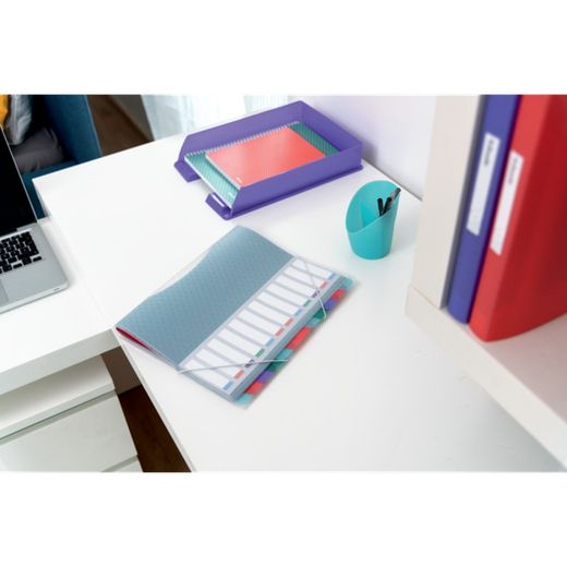 Esselte Colour'Breeze PP sorter. With 12 dividers with index, multicolored