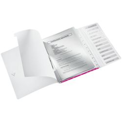 Klasyfikator WOW. P.P. 12 przegródek. DIN A4, fuksja